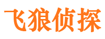 南江市私家侦探